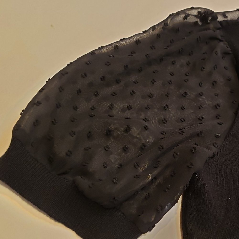 Adrianna Papell short sleeve knit sweater with sheer dot textured chiffon - Picture 4 of 16